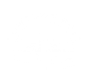 The Powtown Post