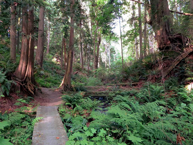 Running in Powell River? Try these 6 routes