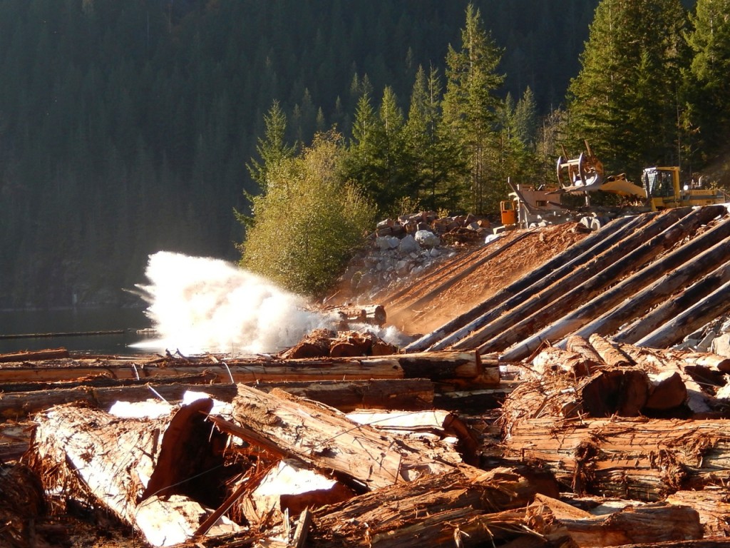 Dumping Logs at the Head