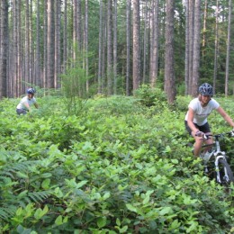 Bike ride of the month in Powell River: Twisted Sister