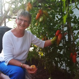 Adventures in Powell River: Peppers, Peaches, Pigs, and Chickens on the Edible Garden Tour