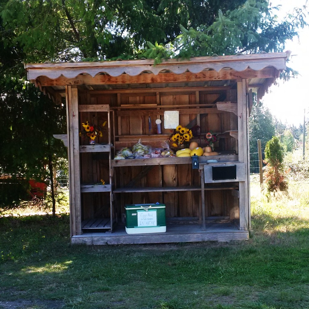 Roadside stands are a popular choice for local produce, eggs, and flowers.