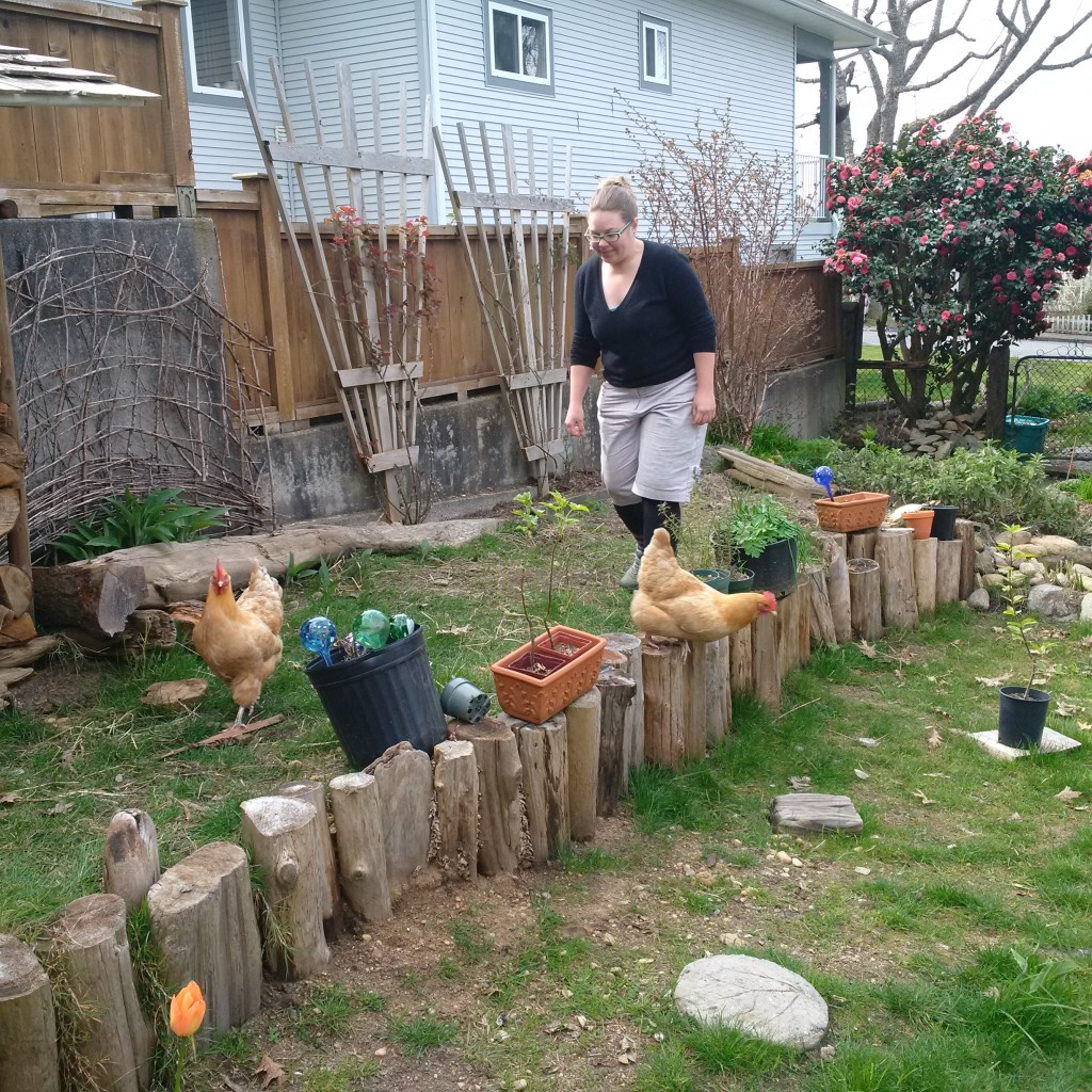 Fun with chickens.