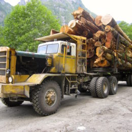 Learn a little bit about the logging industry in Powell River