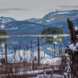 9 Photos That Show Winter in Powell River Ain’t So Bad