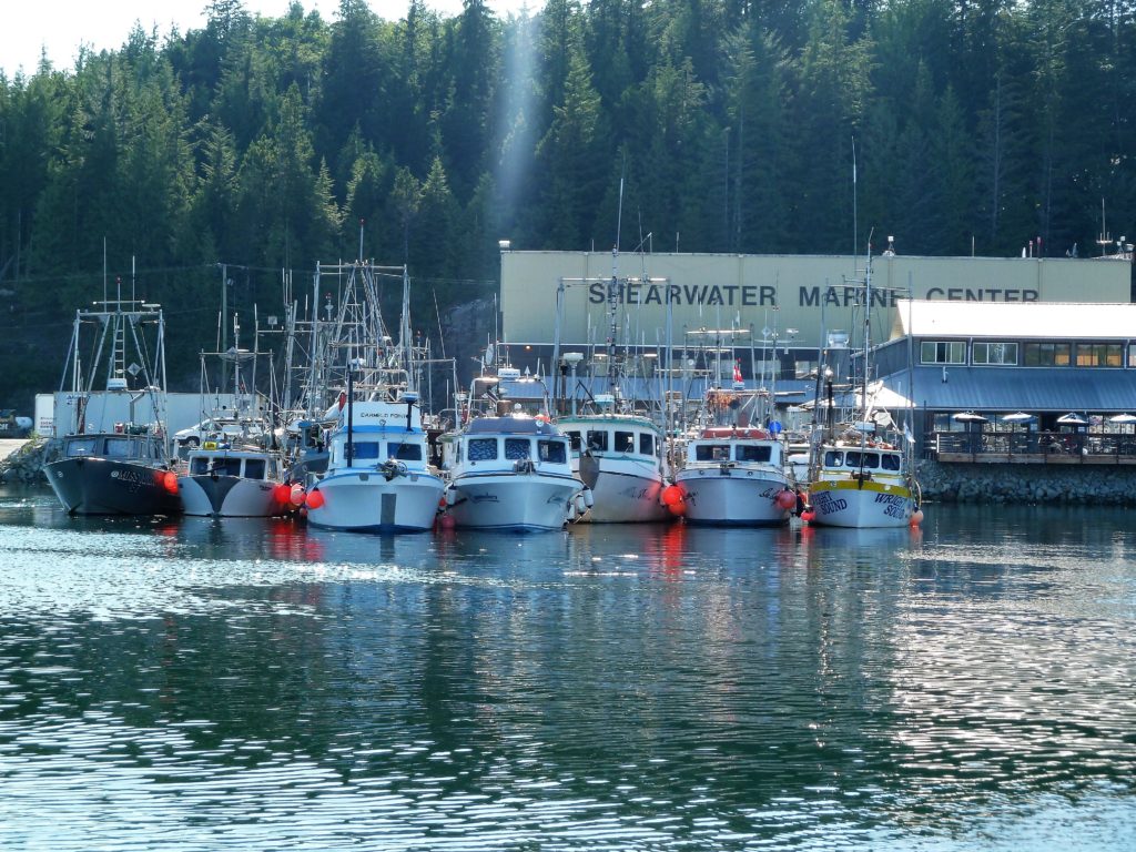 Shearwater Harbour